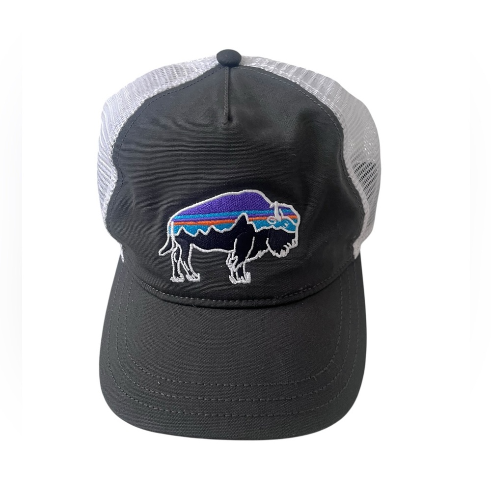Patagonia Fitz Roy
Bison Snapback Trucker
Hat Gray One Size
Colorblock